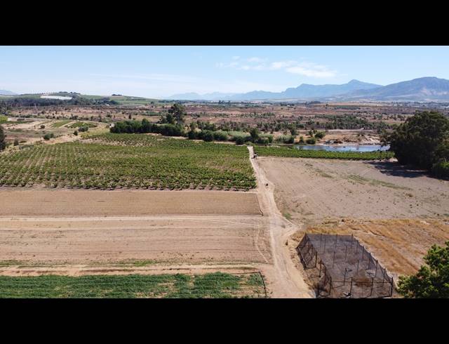 16.70HA FARM FOR SALE IN PAARL RURAL